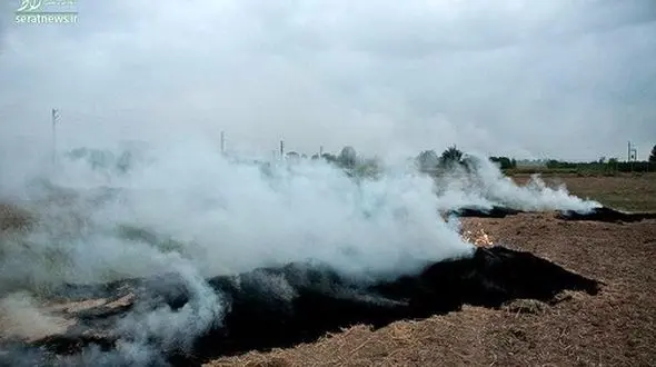 با کشاورزانی که اقدام به سوزاندن بقایای محصولات می‌کنند برخورد می‌شود