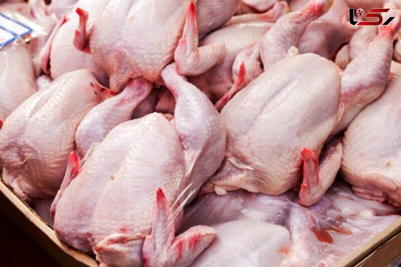 آغاز عرضه گوشت مرغ با نرخ مصوب در مشهد