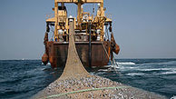توقیف کشتی صیادی ترال در آب‌های جاسک 