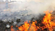 وقوع ۱۰ فقره آتش‌سوزی در جنگل‌ها و مراتع چهارمحال و بختیاری