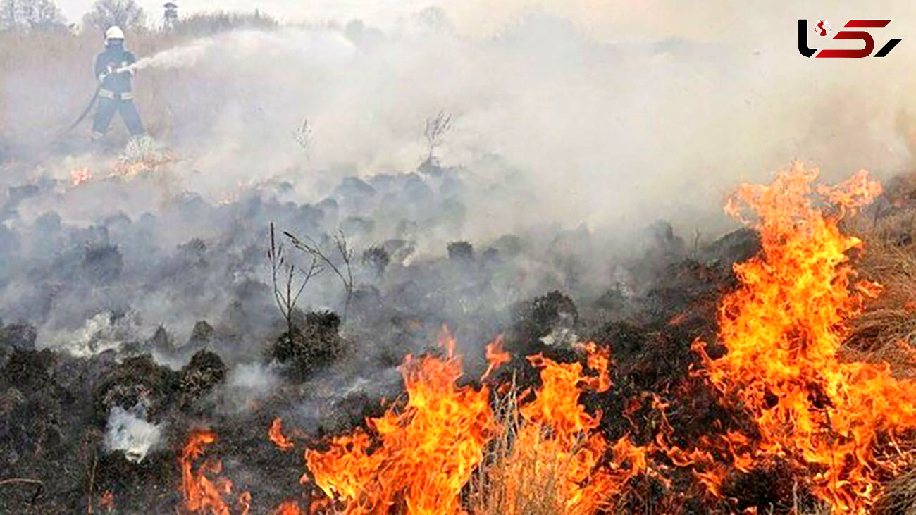 مهار آتش سوزی در جنگل‌های بویراحمد