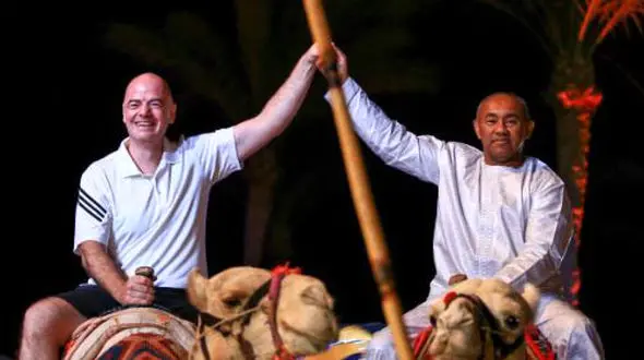 شترسواری رئیس فیفا در شرم الشیخ