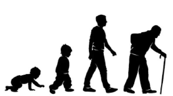 نشانه های جدید پیری عضلات شناسایی شد 