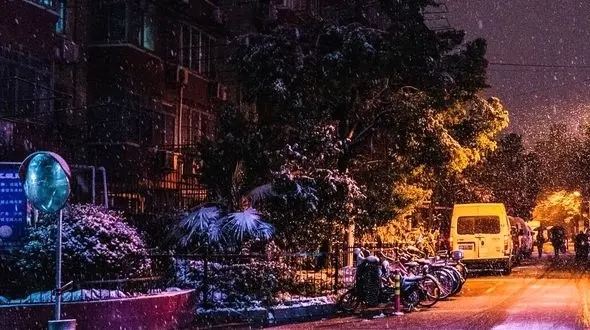 آرامش در دل شب از رقص دانه‌های برف از خواب اردک