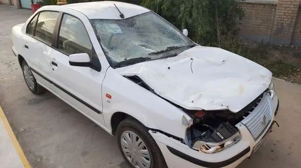 سمند صفر کیلومتر بعد از برخورد با اسب مچاله شد! +فیلم و عکس