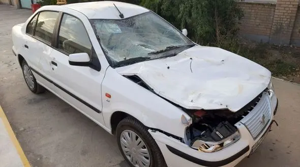 سمند صفر کیلومتر بعد از برخورد با اسب مچاله شد! +فیلم و عکس