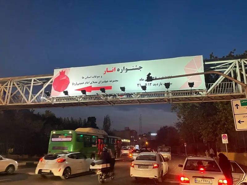 تبلیغ جشنواره انار