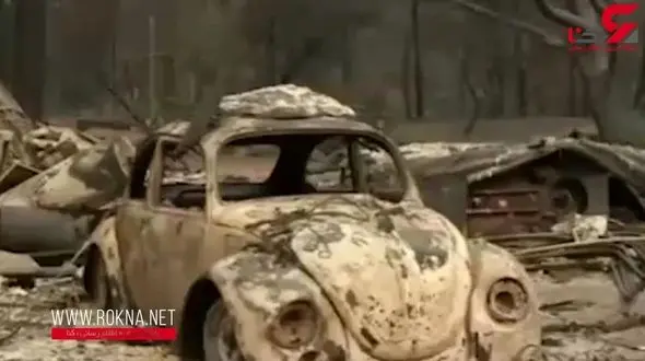 خاکستر شدن بخش عظیمی از جنگل‌های کالیفرنیا + فیلم