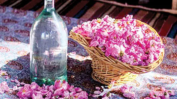 رتبه نخست ایران در صادرات گلاب و غنچه گل‌محمدی