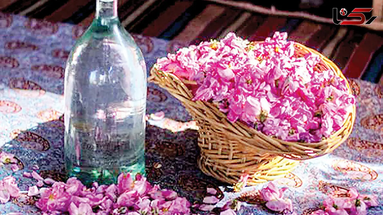 رتبه نخست ایران در صادرات گلاب و غنچه گل‌محمدی