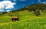 ریلکس کنید / نماهنگ بی کلام آرامش بخش + فیلم