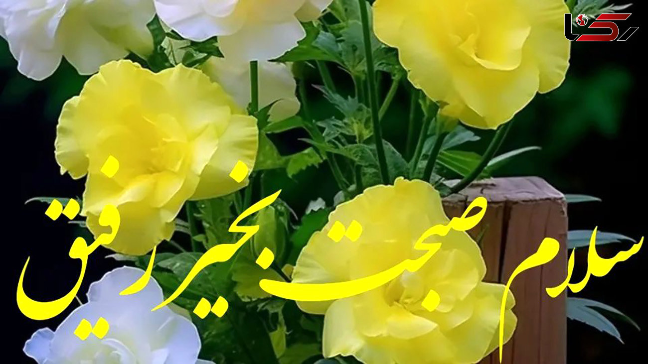 فال ابجد شما در 13 آذر 1402 + فیلم