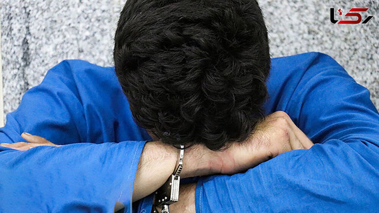 بازداشت سارق سابقه دار در میرداماد