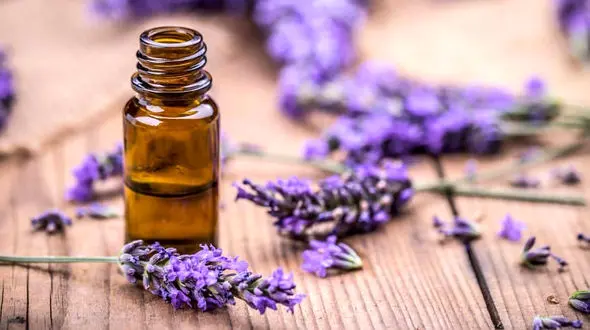 دشمن خوشبوی استرس 