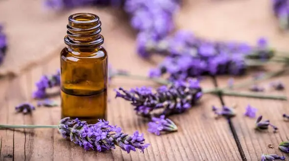 دشمن خوشبوی استرس 