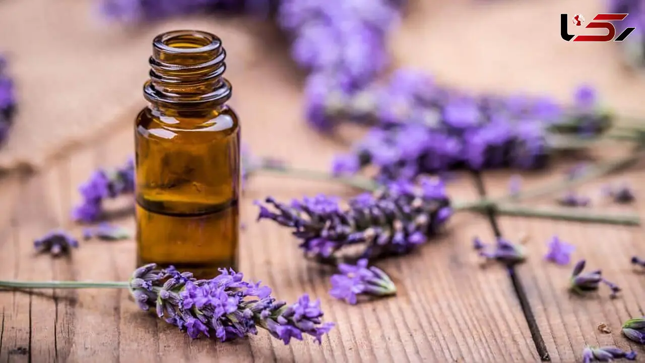 دشمن خوشبوی استرس 