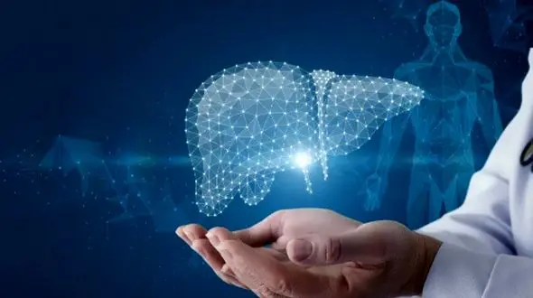 چه عواملی باعث کبد چرب و سیروز کبدی می‌ شود؟ 2 مورد را بدانید!