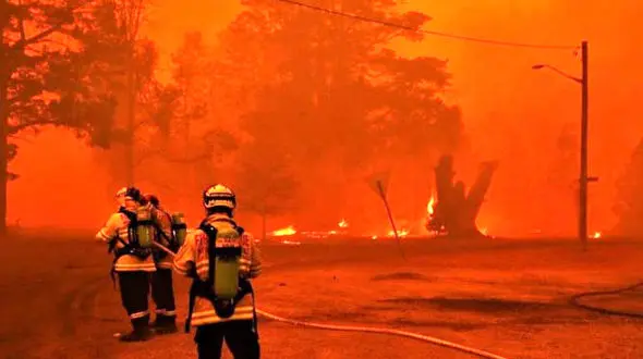 آتش فرش های یک مغازه در بجنورد را پودر کرد