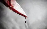 وحشت اهالی ساختمانی در باغ فیض / قمه کشی در روز روشن 