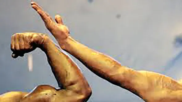  رضا امینی پرورش اندام کیست؟ 