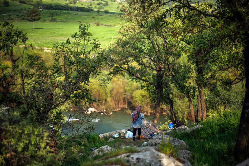 چشمه ای زیبا