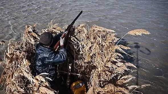 دستگیری 23 شکارچی متخلف در گلستان
