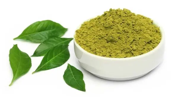 خواص شگفت انگیز حنا را بشناسید/رفع بوی بد پا با این گیاه مفید