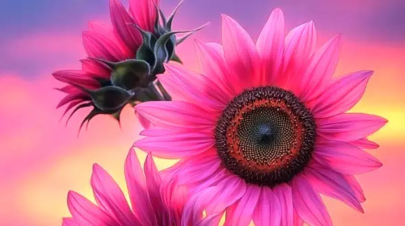 فال ابجد امروز 9 اردیبهشت 1405