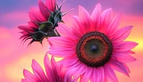 فال ابجد امروز 9 اردیبهشت 1405