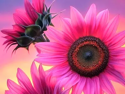 فال ابجد امروز 9 اردیبهشت 1405