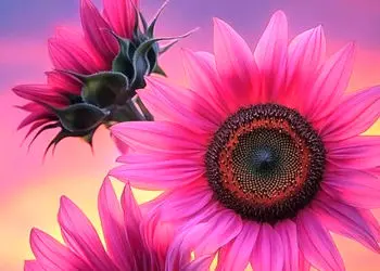 فال ابجد امروز 9 اردیبهشت 1405