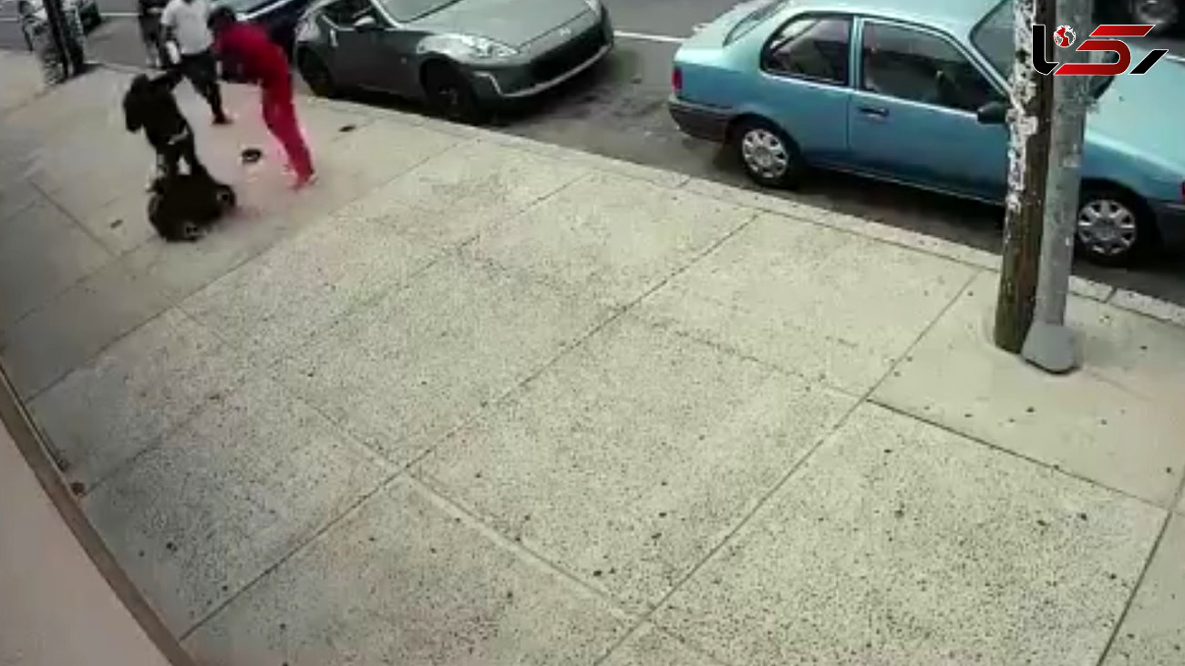 فیلم حمله وحشیانه سه زورگیر به یک مرد جوان در پیاده رو+عکس