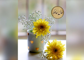 فال حافظ 15 اردیبهشت + فیلم