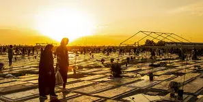 دی‌ ماه ۱۴۰۴ و  چهلم جان‌ باختگان/  برنامه دولت برای کاهش آسیب های روانی چیست؟ 