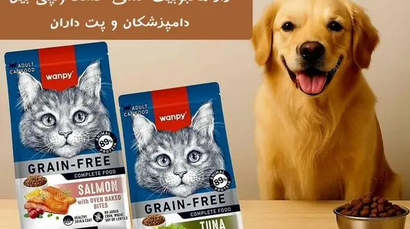 راز محبوبیت غذای خشک ونپی میان دامپزشکان و پت‌داران چیست؟