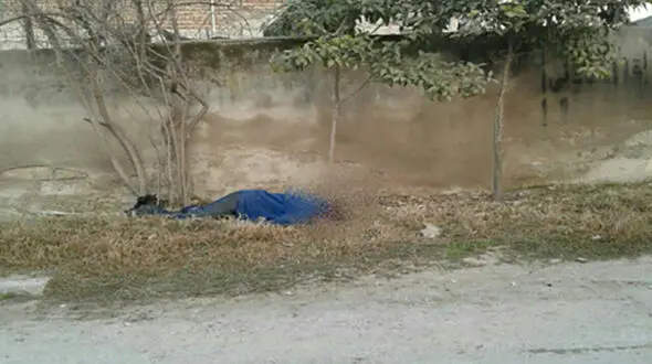 کشف جسد مرد میانسال در در کنار رودخانه بابل +عکس 