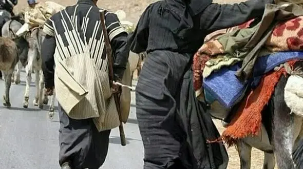 کوچ پاییزه عشایر به دشت‌های خوزستان آغاز شد
