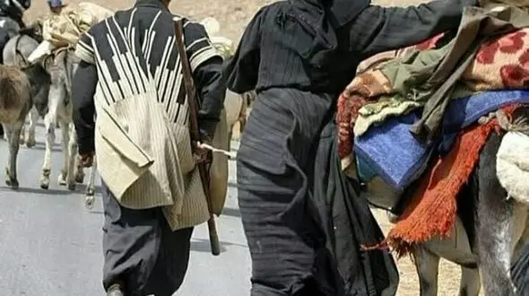 کوچ پاییزه عشایر به دشت‌های خوزستان آغاز شد
