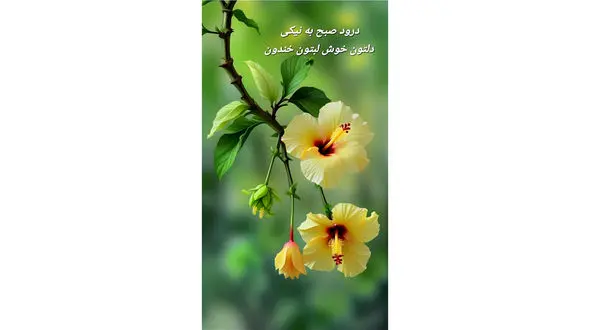 فال ابجد امروز 24 اردیبهشت + فیلم