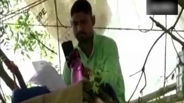 اقدام عجیب یک معلم فداکار برای برگزاری کلاس آنلاین روی درخت + فیلم / هند
