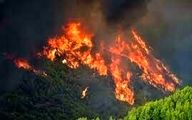 آتش سوزی در یونان به مراکز باستانی برگزاری المپیک نزدیک می‌شود + فیلم