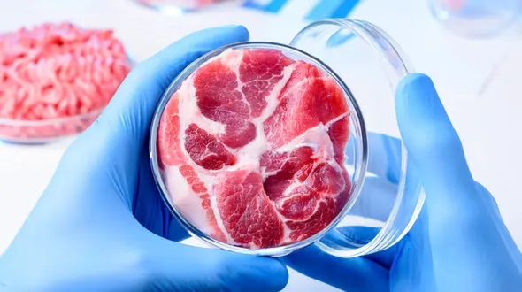 راه های پیشگیری از  فساد گوشت و فرآورده های گوشتی