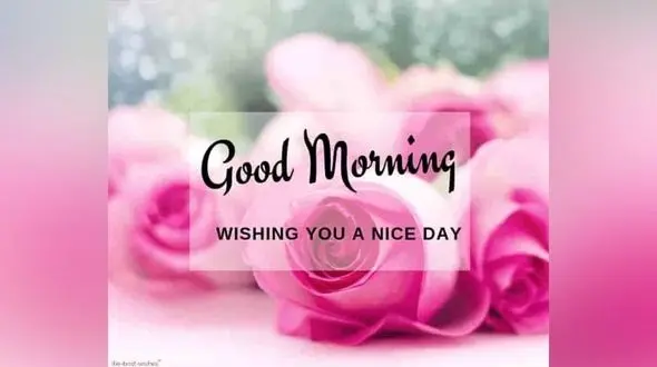 فال ابجد امروز / 2 خرداد ماه + فیلم 