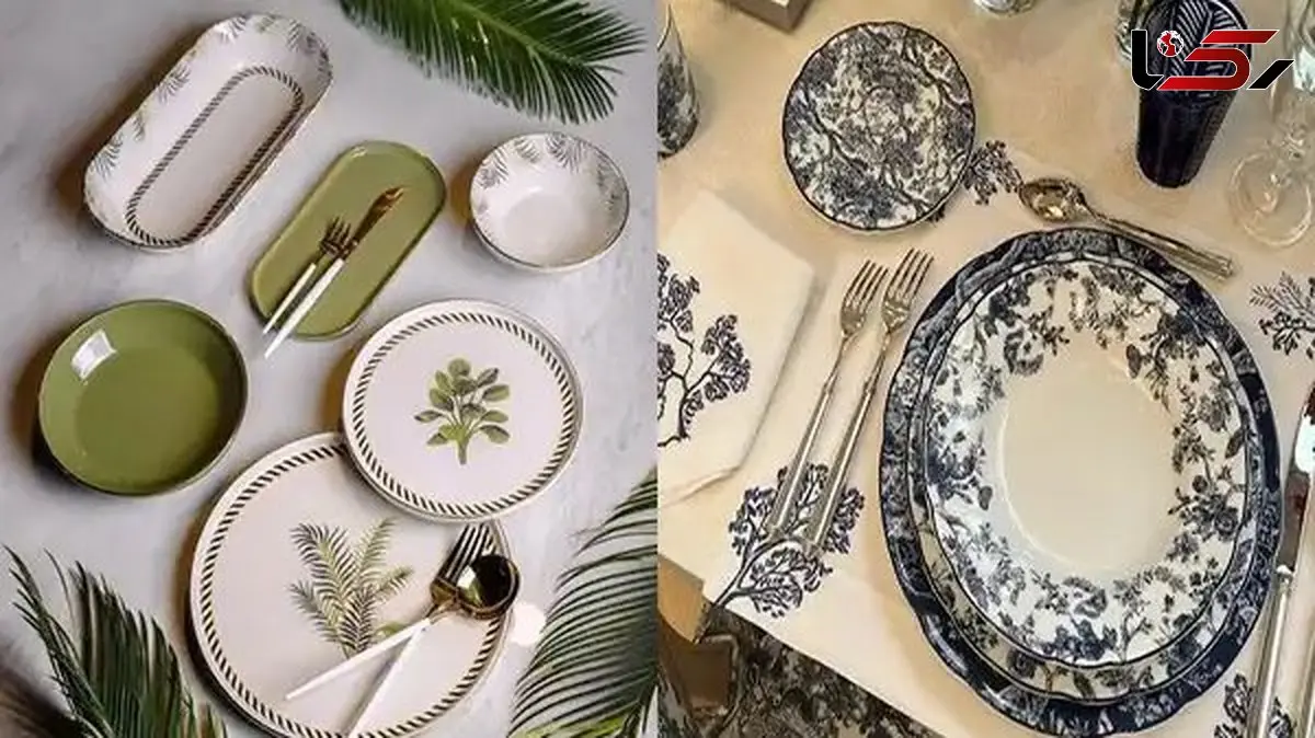 ظروف غذاخوری زیبا و جذاب + مدل های برتر مهمانی / عکس