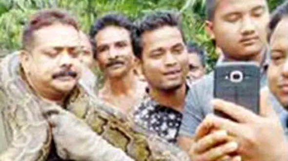 مار پیتون نگهبانش را خفه کرد + عکس