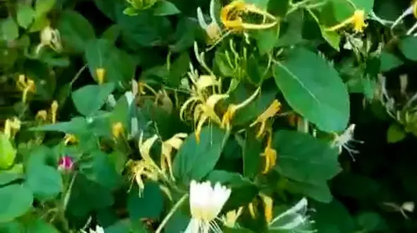 سختی امروز، قدرت فرداست