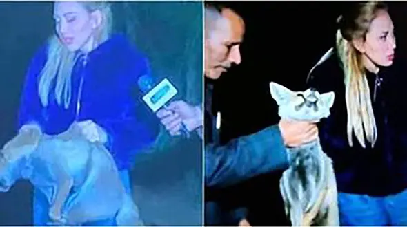 جنجال حیوان آزاری زشت خانم مجری روی آنتن زنده + عکس