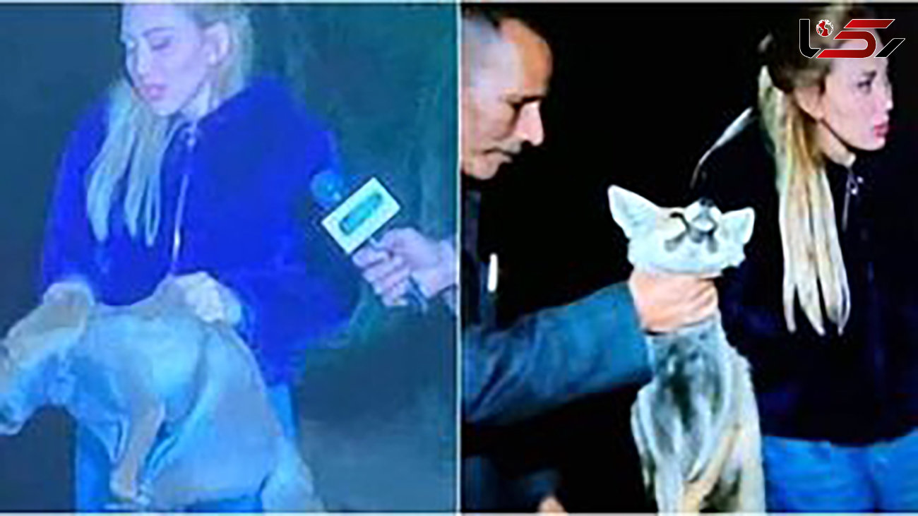 جنجال حیوان آزاری زشت خانم مجری روی آنتن زنده + عکس