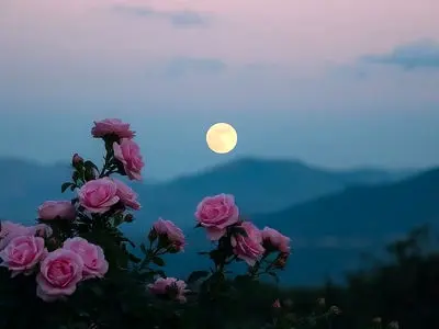 فال ابجد امروز 6 اردیبهشت 1405