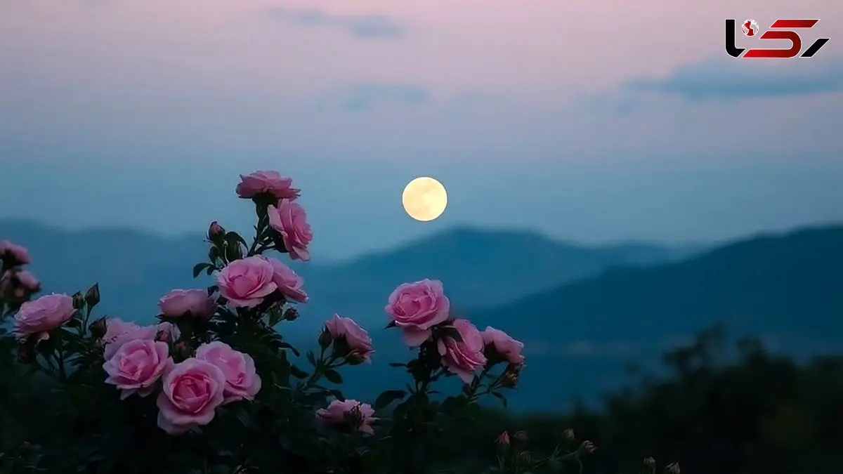 فال ابجد امروز 6 اردیبهشت 1405